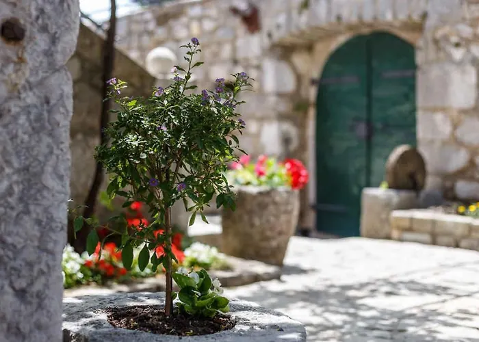 Case de vacanță Unit_type_terraced_house With Pool 55425 *